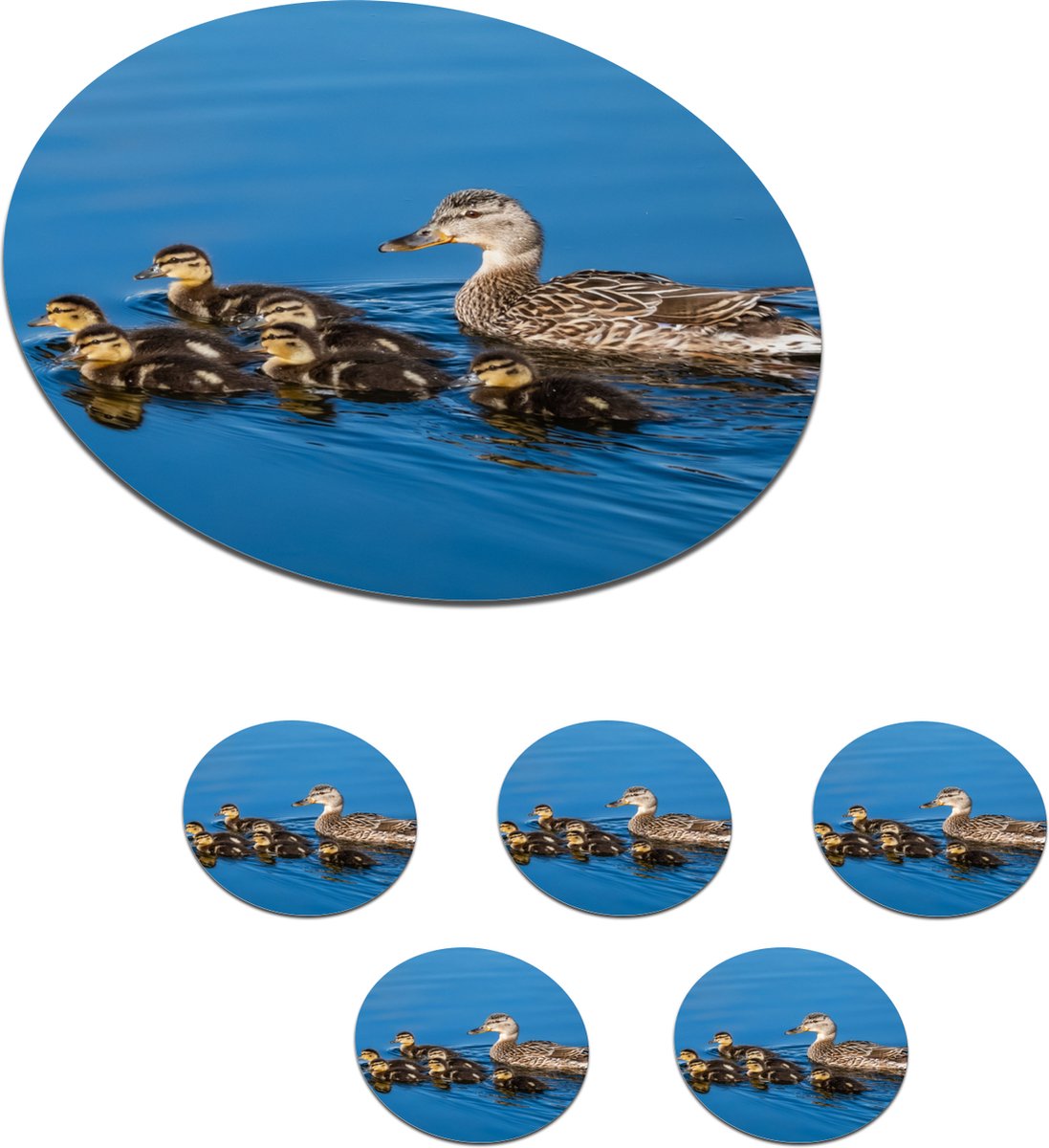 Onderzetters voor glazen - Rond - Eend - Water - Vogel - Bruin - 10x10 cm - Glasonderzetters - 6 stuks