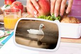 Broodtrommel Wit - Lunchbox - Brooddoos - Eend - Vogel - Water - Wit - 18x12x6 cm - Volwassenen