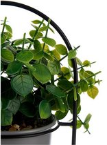 Decoratieve plant Grijs Met steun Metaal Plastic (14 x 30 x 14 cm)