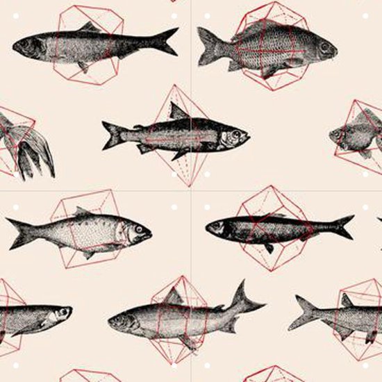 IXXI Fishes in Geometrics - Wanddecoratie - Abstract - 40 x 40 cm