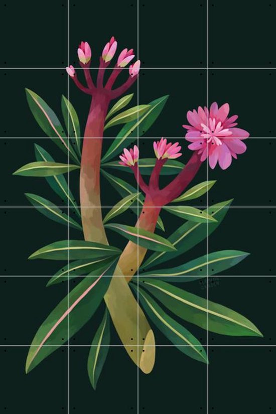 IXXI Oleander - Wanddecoratie - Bloemen en Planten