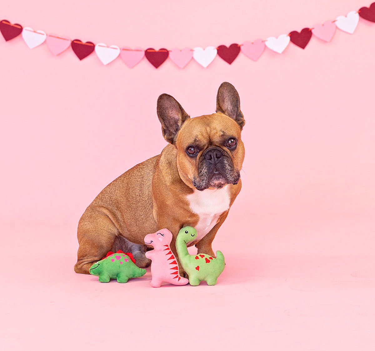 PELUCHE SAINT VALENTIN POUR CHIEN FRINGE PET SHOP - DINOSAURE AVEC