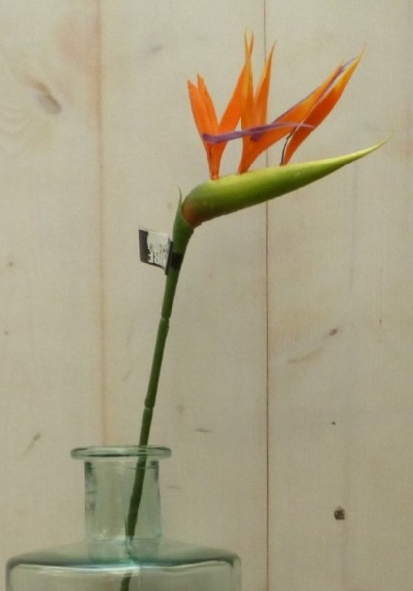 Warentuin mix - Kunstparadijsvogelbloem strelitzia op steker oranje