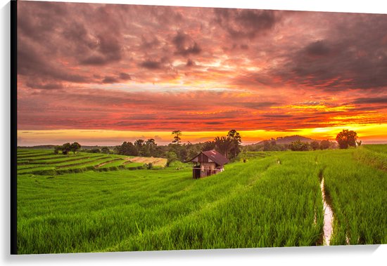 Canvas - Zonsondergang bij de Thaise Rijstvelden - 120x80 cm Foto op Canvas Schilderij (Wanddecoratie op Canvas)