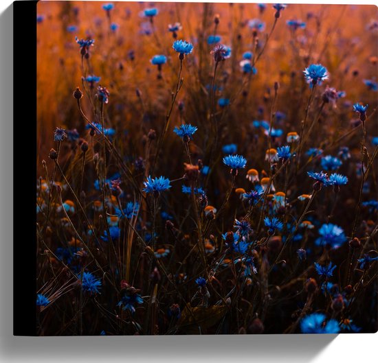 Canvas - Landschap - Bloemen - Planten - Blauw - Natuur - 30x30 cm Foto op Canvas Schilderij (Wanddecoratie op Canvas)
