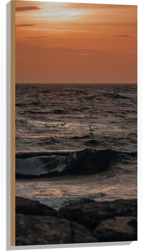 Hout - Oceaan - Zee - Rotsen - Stenen -Dieren - Vogels - Meeuwen - Golven - 50x100 cm - 9 mm dik - Foto op Hout (Met Ophangsysteem)
