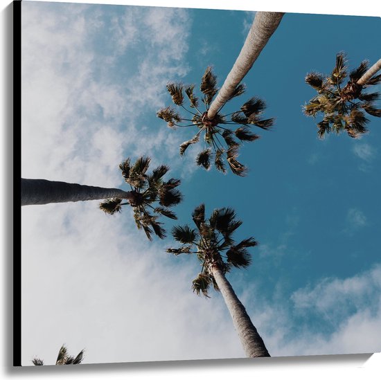 Canvas - Onderaanzicht - Bomen - Palmbomen - Wolken - 100x100 cm Foto op Canvas Schilderij (Wanddecoratie op Canvas)