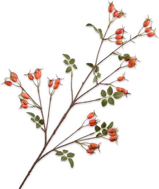 Silk ka Kunstbloem Zijden Bloem Kunsttak Rozenbottel Tak Oranje 95 Cm Bol