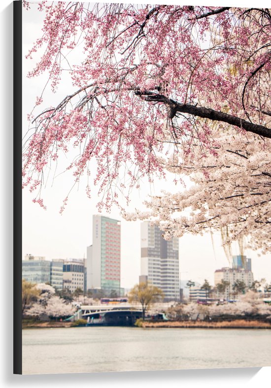 Canvas - Water - Brug - Bus - Gebouwen - Boom - Bloesem - Flat - 60x90 cm Foto op Canvas Schilderij (Wanddecoratie op Canvas)