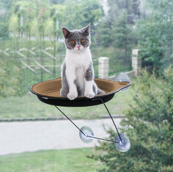 Nieuwjaar Lenen Interpreteren Katten hangmat raam - Kattenbed met zuignappen - Zwevend ligbed kat -  Verhoogde... | bol.com