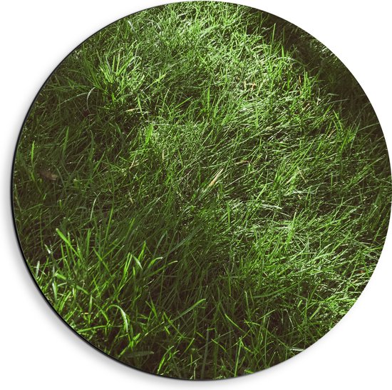 Dibond Muurcirkel - Groen - Gras - Natuur - 40x40 cm Foto op Aluminium Muurcirkel (met ophangsysteem)