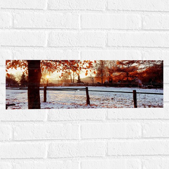 Muursticker - Landschap - Winter - Bomen - Bladeren - Sneeuw - Zonsondergang - 60x20 cm Foto op Muursticker
