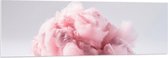 PVC Schuimplaat - Wolk van Zoete Roze Suikerspin - 150x50 cm Foto op PVC Schuimplaat (Met Ophangsysteem)