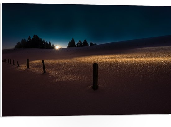 PVC Schuimplaat- Landschap - Sneeuw - Paaltjes - Bomen - Zonsondergang - 75x50 cm Foto op PVC Schuimplaat