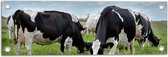 Tuinposter – Kudde Koeien met Zwarte en Witte Vlekken - 60x20 cm Foto op Tuinposter (wanddecoratie voor buiten en binnen)