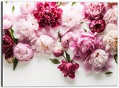 Dibond - Mix van Roze Bloemen op Witte Achtergrond - 40x30 cm Foto op Aluminium (Met Ophangsysteem)