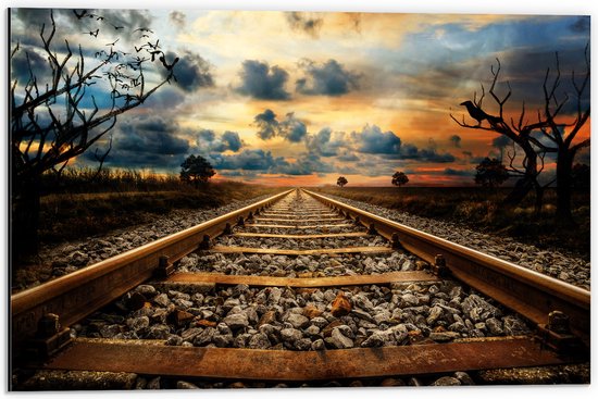 Dibond - Spoorweg naar Donkere Wolken boven Vlakte - 60x40 cm Foto op Aluminium (Met Ophangsysteem)