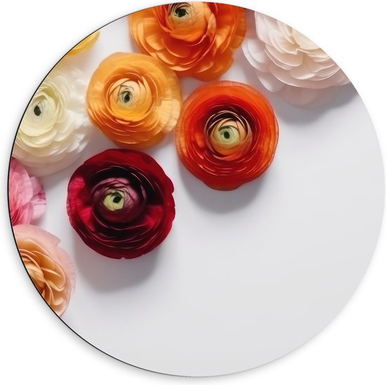 Dibond Muurcirkel - Mix van Rode en Oranje Bloemen op Witte Achtergrond - 60x60 cm Foto op Aluminium Muurcirkel (met ophangsysteem)