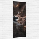 Muursticker - Nieuwsgierig Hertje - 50x150 cm Foto op Muursticker