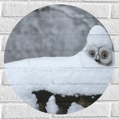 Muursticker Cirkel - Laagje Sneeuw op Zadel van Fiets - 50x50 cm Foto op Muursticker