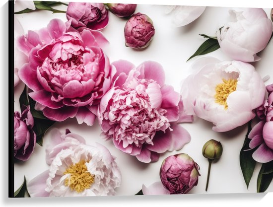 Canvas - Mix van Roze en Witte Bloemen op Witte Achtergrond - 100x75 cm Foto op Canvas Schilderij (Wanddecoratie op Canvas)