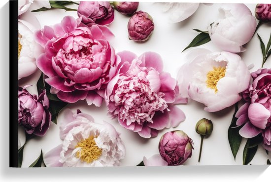 Canvas - Mix van Roze en Witte Bloemen op Witte Achtergrond - 60x40 cm Foto op Canvas Schilderij (Wanddecoratie op Canvas)