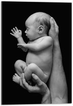 Acrylglas - Pasgeboren Baby in Handen van Vader (Zwart- wit) - 40x60 cm Foto op Acrylglas (Wanddecoratie op Acrylaat)