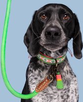 DWAM Dog with a Mission Halsband hond – Hondenhalsband – Groen – XS – Leer – Halsomvang tussen 23-29 x 2 cm – Tropical Summer