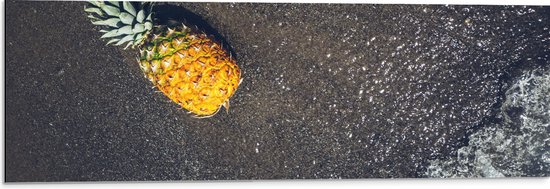 Dibond - Ananas op het Strand met Zee - 90x30 cm Foto op Aluminium (Wanddecoratie van metaal)