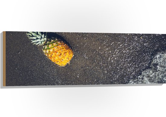 Hout - Ananas op het Strand met Zee - 120x40 cm - 9 mm dik - Foto op Hout (Met Ophangsysteem)