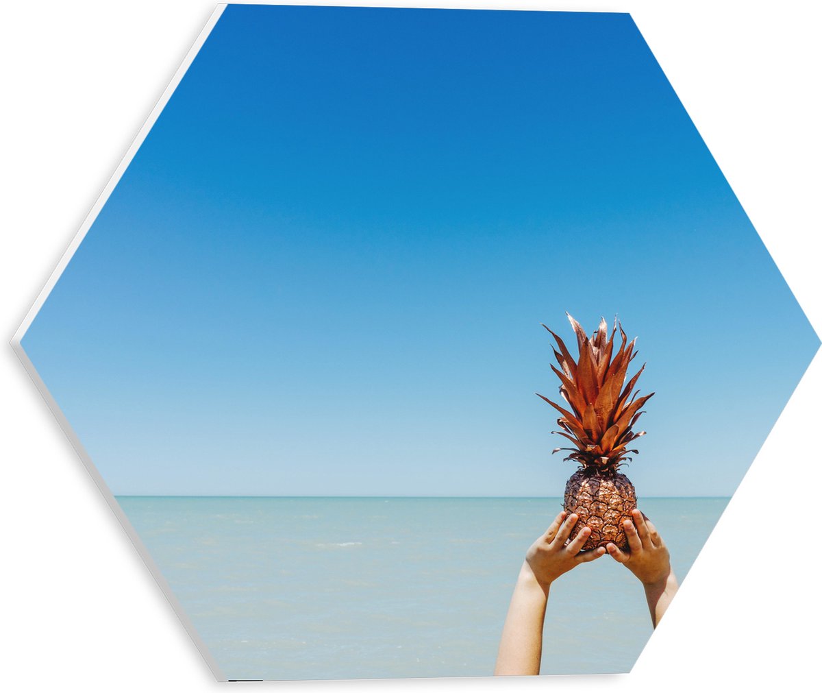 PVC Schuimplaat Hexagon - Ananas in Handen bij het Water - 30x26.1 cm Foto op Hexagon (Met Ophangsysteem)