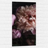 Muursticker - Roze Rozen - 50x100 cm Foto op Muursticker