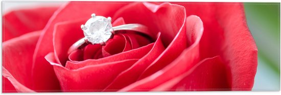 Vlag - Bloem - Roos - Ring - Diamant - Rood - 60x20 cm Foto op Polyester Vlag