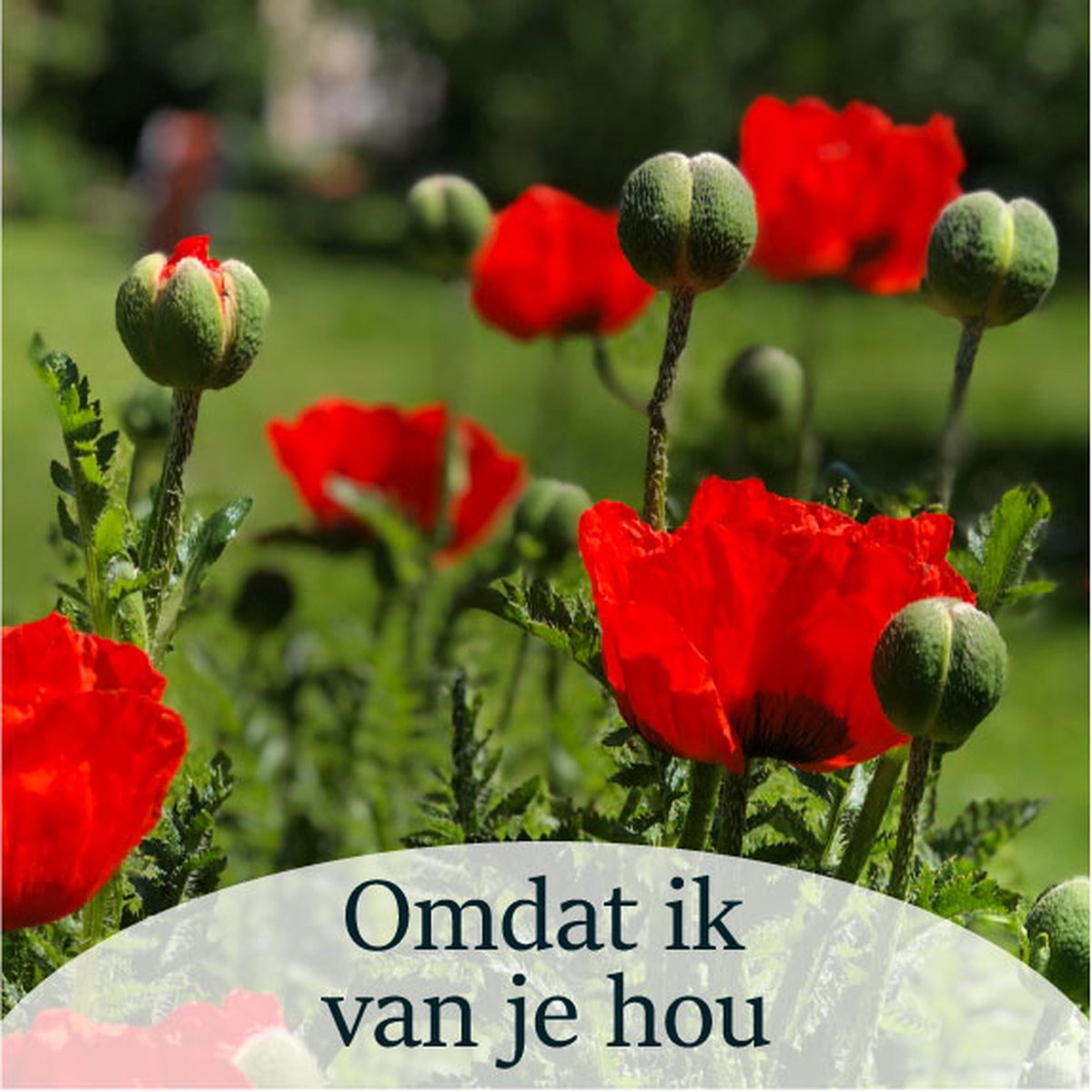 Luxe Bloemenkaartje - "Omdat ik van je hou" - Cadeaukaartje - Bloemenlabel - Kaartje - 7x7 cm - 20 stuks - Met Boorgaatje
