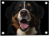 Tuinposter – Portretfoto van Berner Sennen Hond met Open Mond - 40x30 cm Foto op Tuinposter (wanddecoratie voor buiten en binnen)