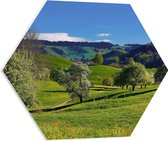 PVC Schuimplaat Hexagon - Bergen - Heuvel - Landschap - Gras - Bomen - 60x52.2 cm Foto op Hexagon (Met Ophangsysteem)