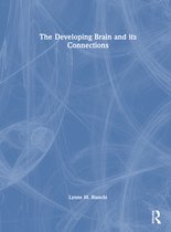 The Developing Brain and its Connections