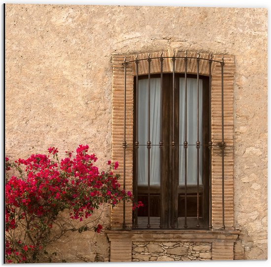 Dibond - Rode Bloemenstruik bij Deur van Traditioneel Italiaans Huis - 50x50 cm Foto op Aluminium (Met Ophangsysteem)