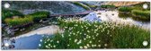 Tuinposter – Bergen - Water - Planten - Bloemen - Wolken - 60x20 cm Foto op Tuinposter (wanddecoratie voor buiten en binnen)