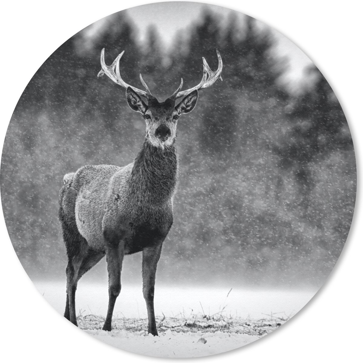 Muismat rond 20x20 cm - Mousepad Dieren - Hert - Winter - Zwart - Wit - Ronde muismatten