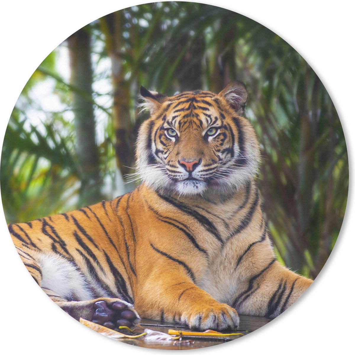Muismat rond 30x30 cm - Mousepad Tijger - Dieren - Bos - Bladeren - Jungle - Ronde muismatten