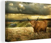 Canvas schilderij 180x120 cm - Wanddecoratie Schotse hooglander - Licht - Natuur - Muurdecoratie woonkamer - Slaapkamer decoratie - Kamer accessoires - Schilderijen