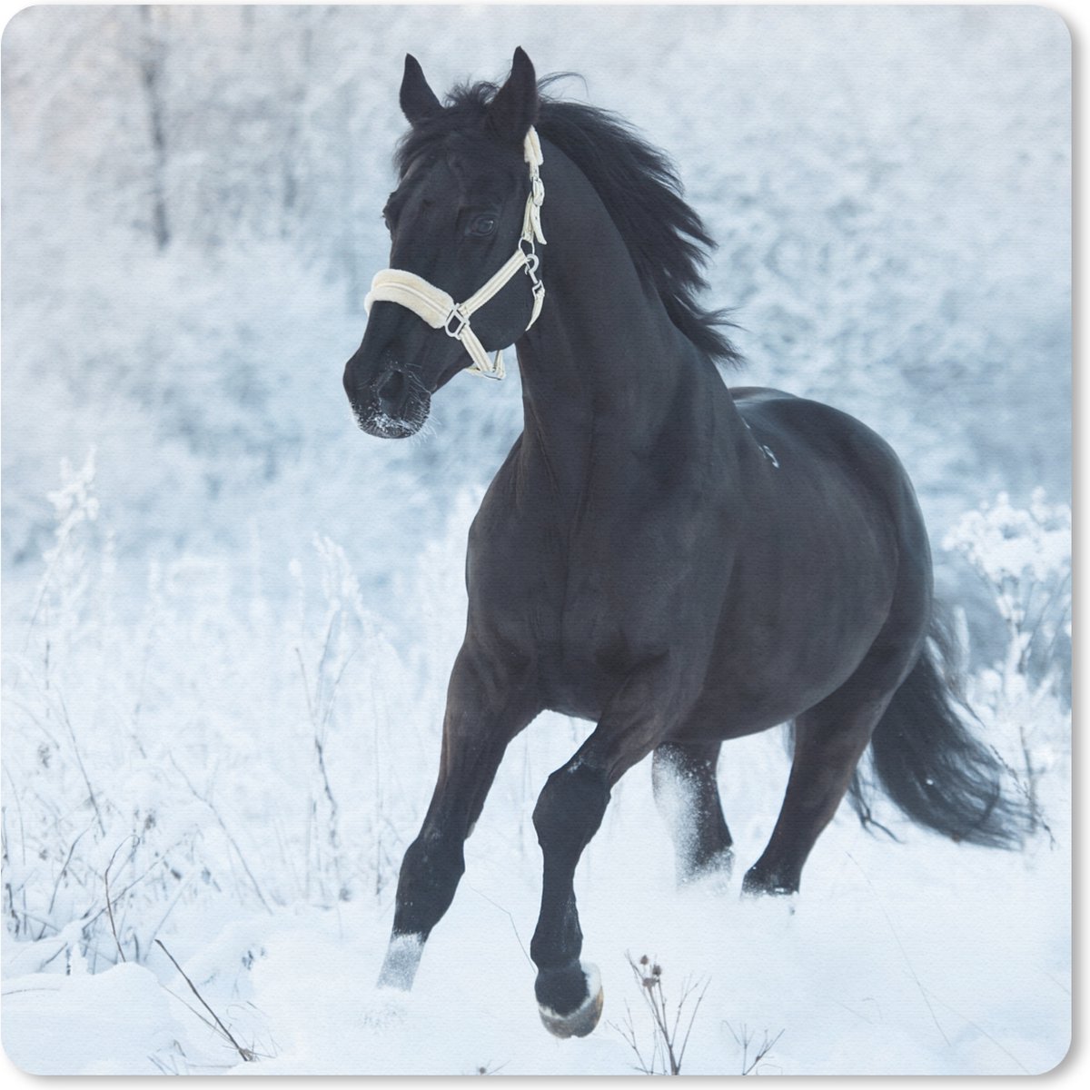 Muismat 30x30 cm - Mousepad Paard - Sneeuw - Bos - Muismatten