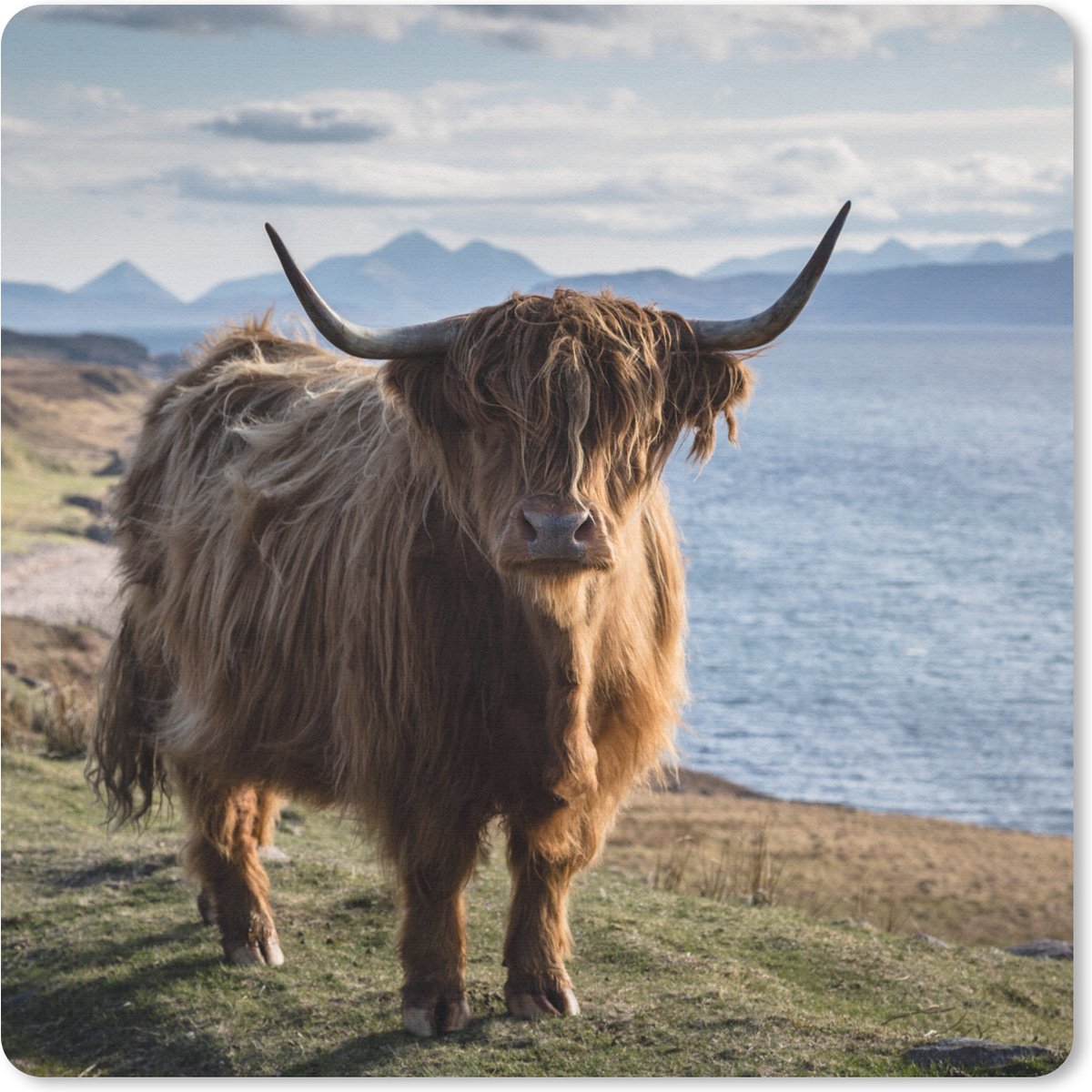Muismat 20x20 cm - Mousepad Schotse Hooglander - Bergen - Zee - Muismatten