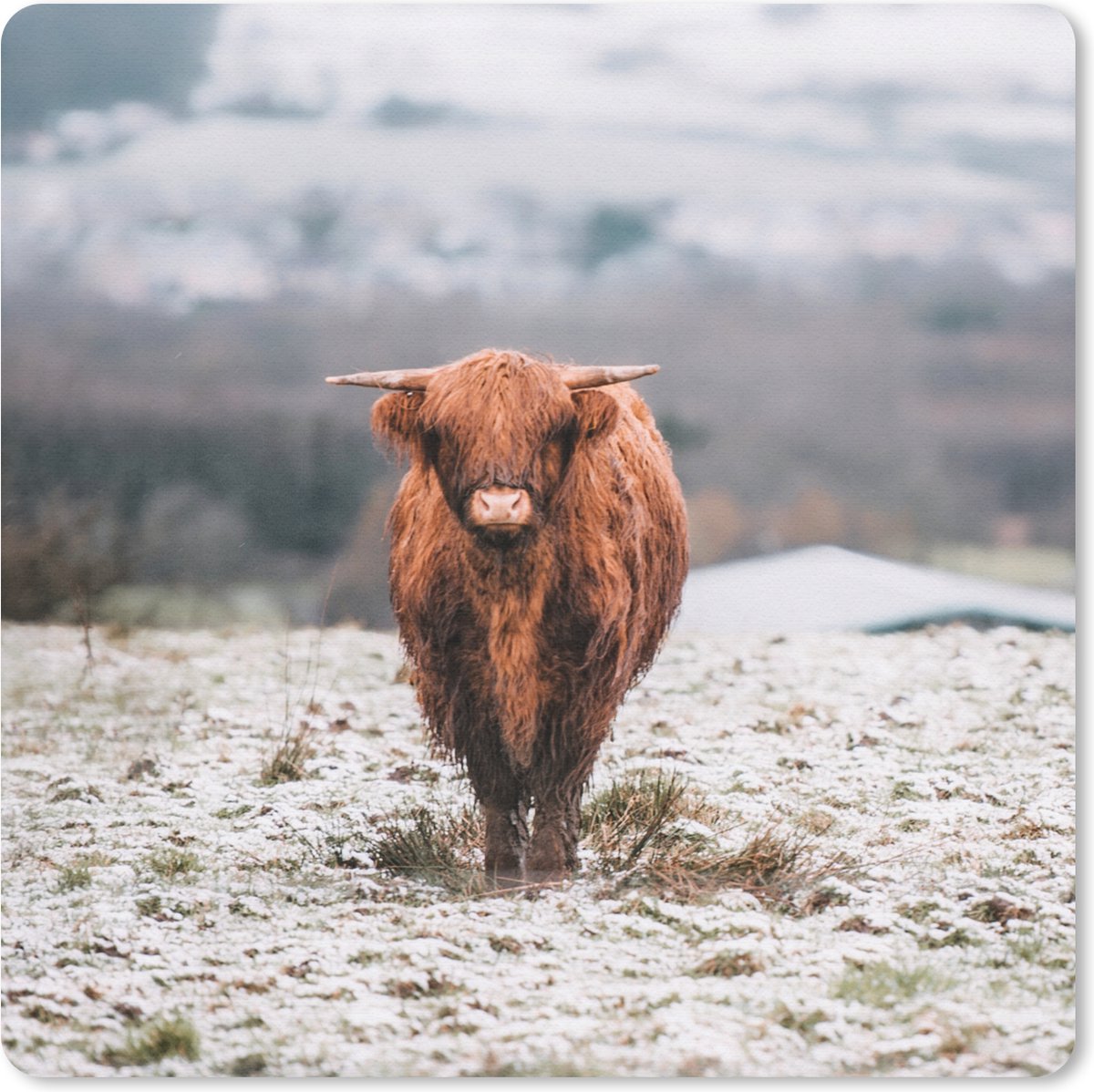 Muismat 30x30 cm - Mousepad Schotse Hooglander - Sneeuw - Berg - Muismatten