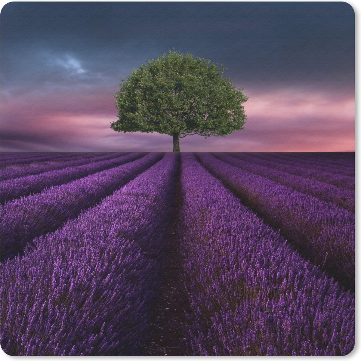 Muismat 20x20 cm - Mousepad Lavendel - Boom - Paars - Muismatten