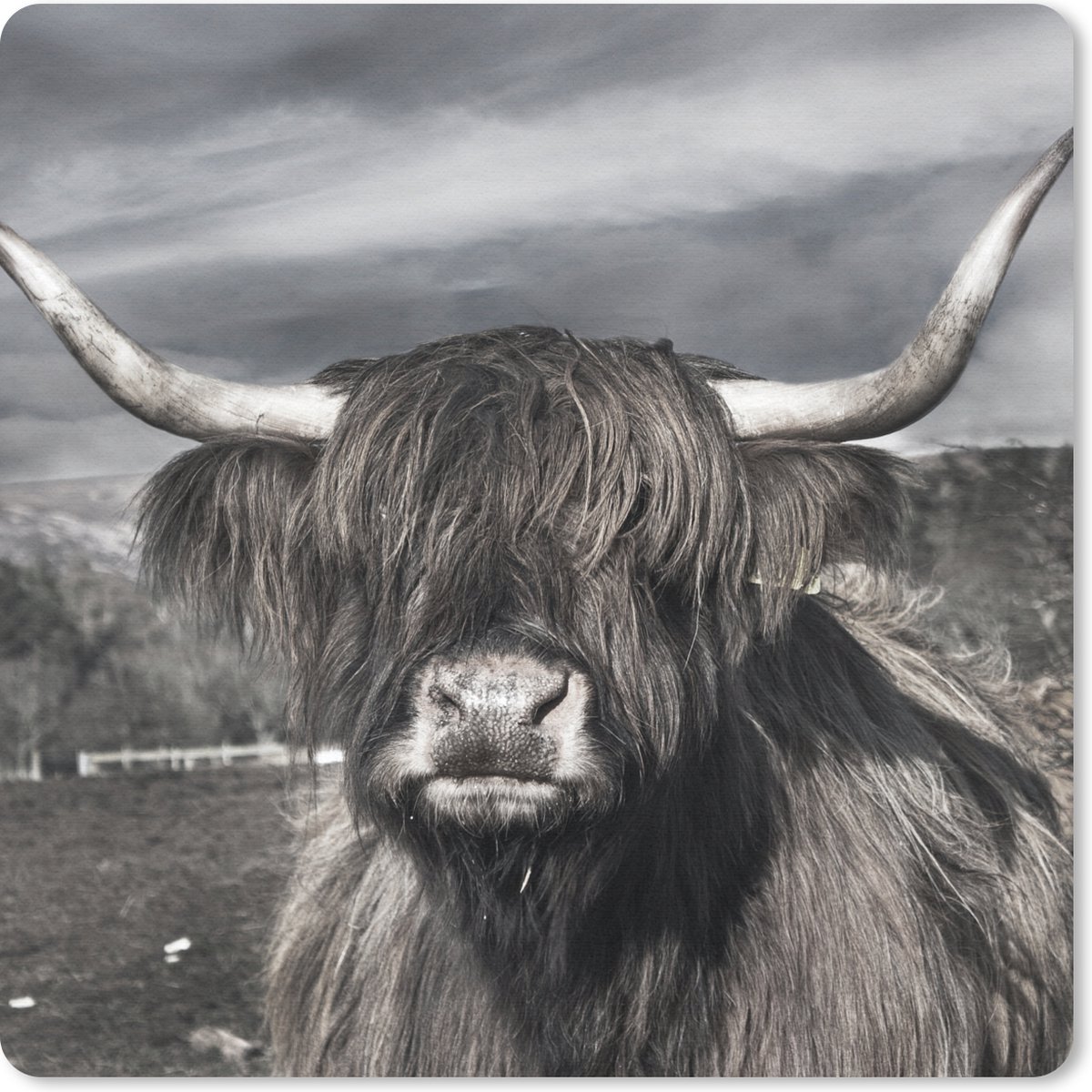 Muismat 20x20 cm - Mousepad Schotse Hooglander - Dieren - Hoorns - Muismatten