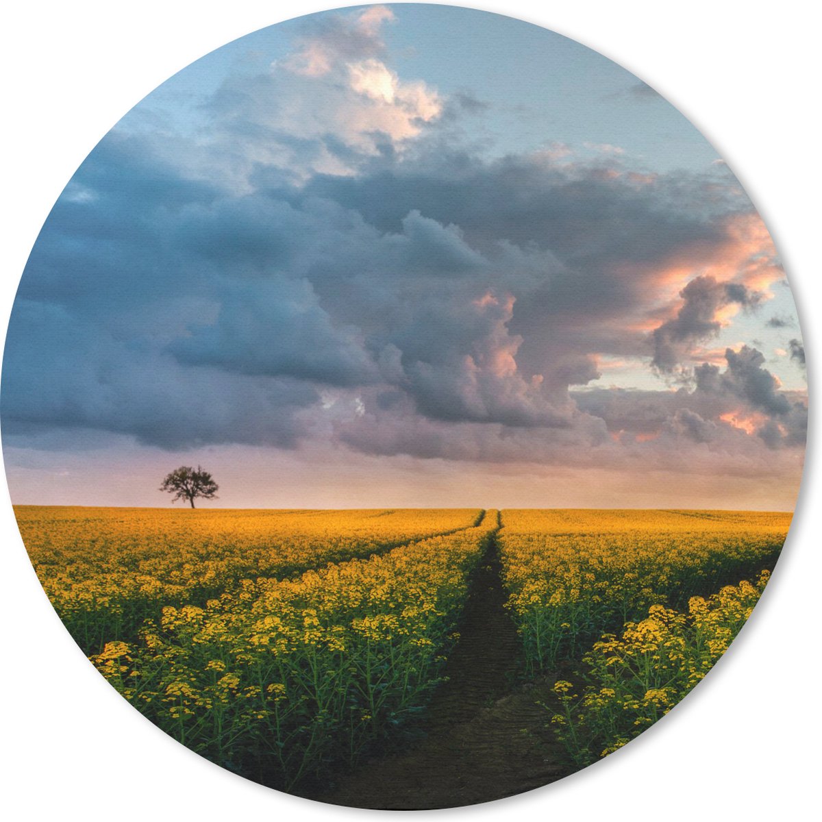 Muismat rond 30x30 cm - Mousepad Bloemen - Geel - Zonsondergang - Ronde muismatten