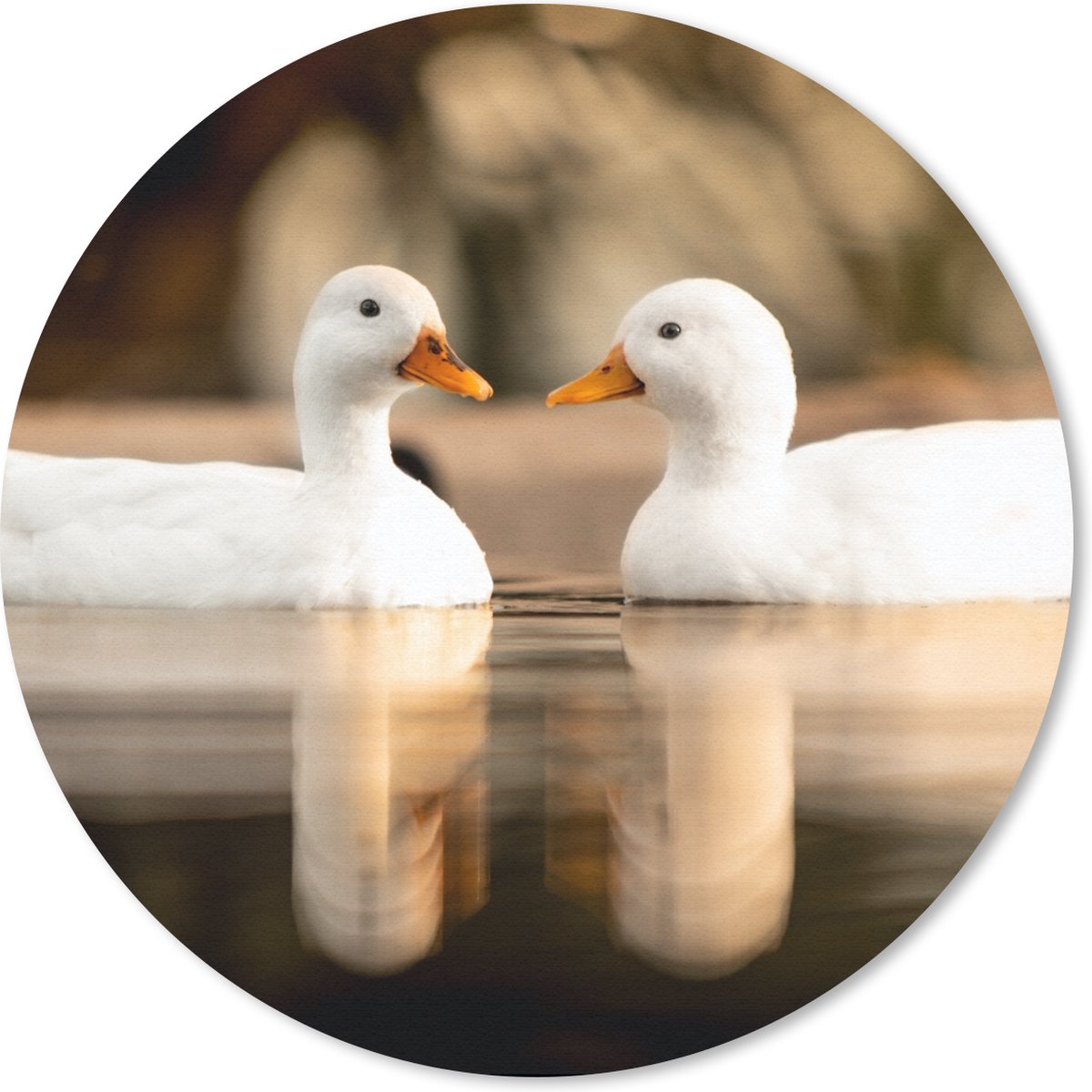 Muismat rond 20x20 cm - Mousepad Eend - Wit - Dieren - Water - Vogel - Eenden - Ronde muismatten