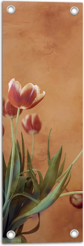 Tuinposter – Geel - Rode Tulpen in Vaas tegen Bruin Gevlekte Muur - 20x60 cm Foto op Tuinposter (wanddecoratie voor buiten en binnen)